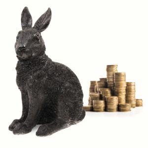 black rabbit money box