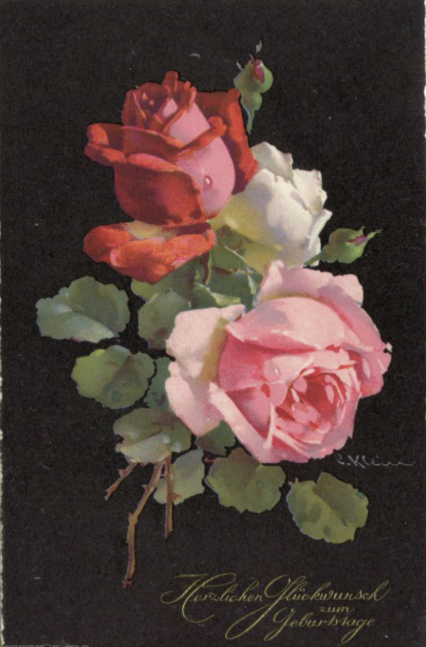 Catharina Klein roses on black